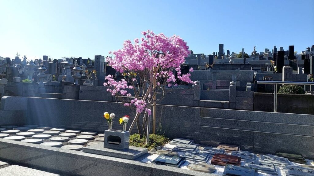龍圓寺風景