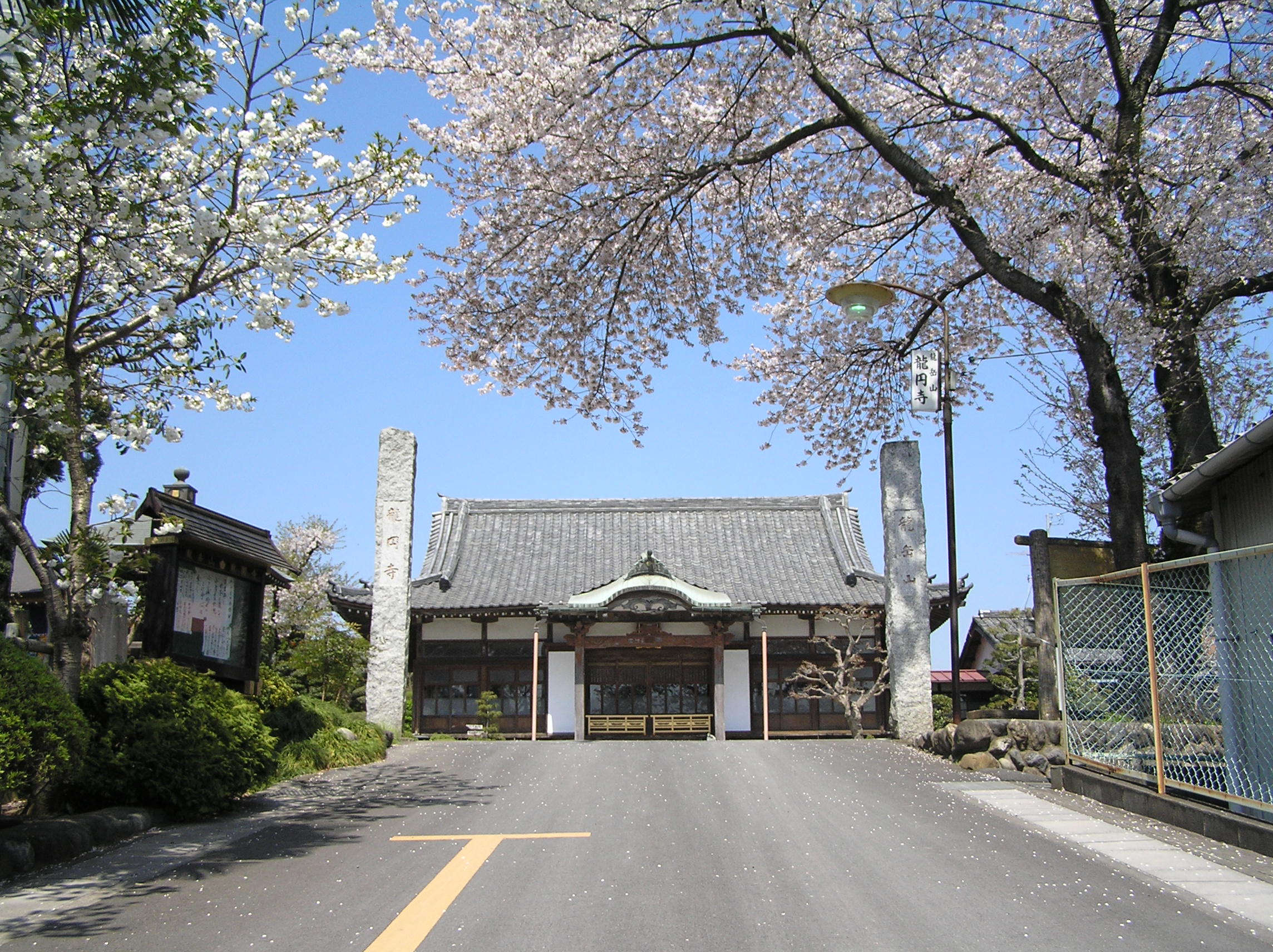 龍圓寺 樹木葬