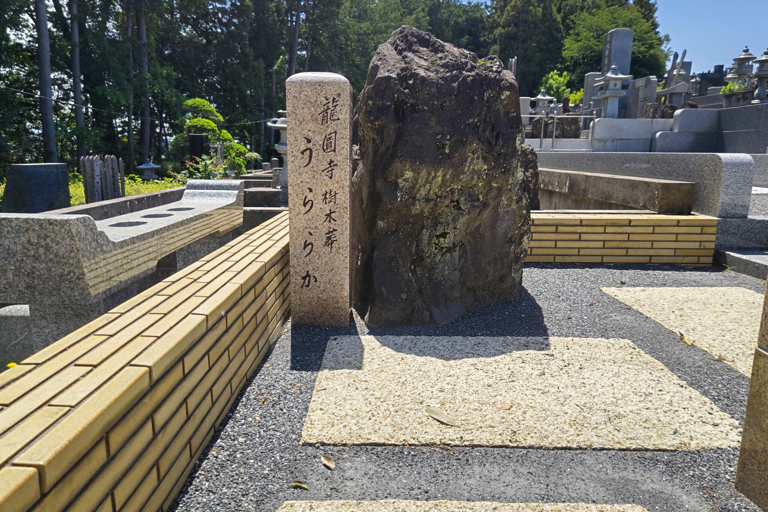 龍圓寺風景